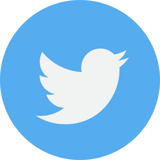Twitter Profile